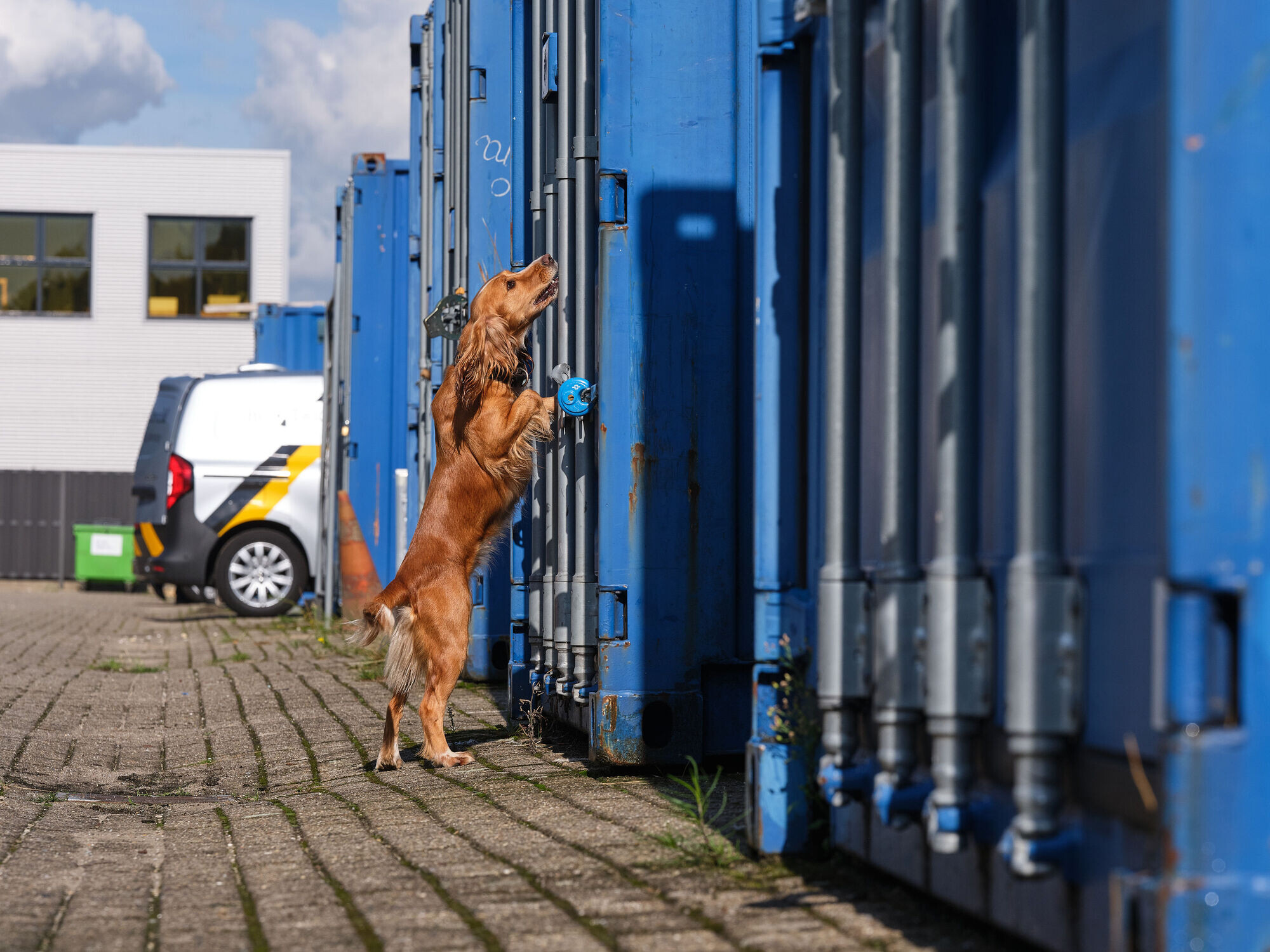 Specialisten in de inzet van speurhonden.